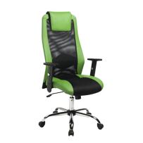 Krzesło biurowe Sander zielony Antares