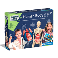Laboratorium dziecięce - Ciało ludzkie Clementoni 104950227
