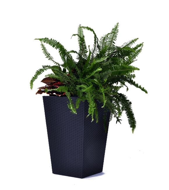 Rattan Planter M Doniczka 39 x 39 x 57 cm - antracyt KETER 228974