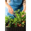 17194592-easy-grow-7000-rgb.jpg