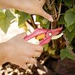 Inspiration™ Ruby Nożyce ogrodowe dwustronne FISKARS 1003657