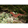 Ozdoba ogrodowa jaszczurka 23 x 15 cm, corten CORGARDEN 1046