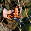 Ergonomiczne nożyce ogrodowe BAHCO PX-M2