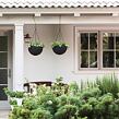 17199246-hanging-sphere-plante_1.jpg