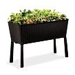 17194592-easy-grow-6167-rgb.jpg