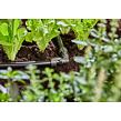 MDS L-łącznik 13 mm GARDENA 13202-20