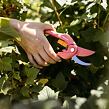 Inspiration™ Ruby Nożyce ogrodowe dwustronne FISKARS 1003657